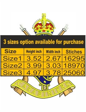 Carabiniers_6th_Dragoon_Guards_col_17924794911.jpg