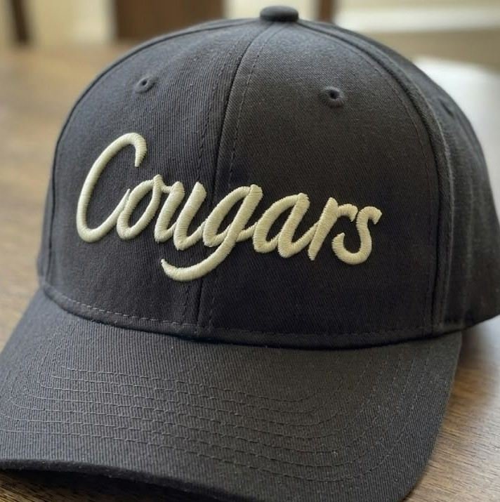 Cougars_3d_puff_col_1792665849.jpeg