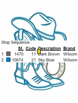 Cowboy_boots_and_western_hat_in_horseshoe_col_img_1792387133.jpg