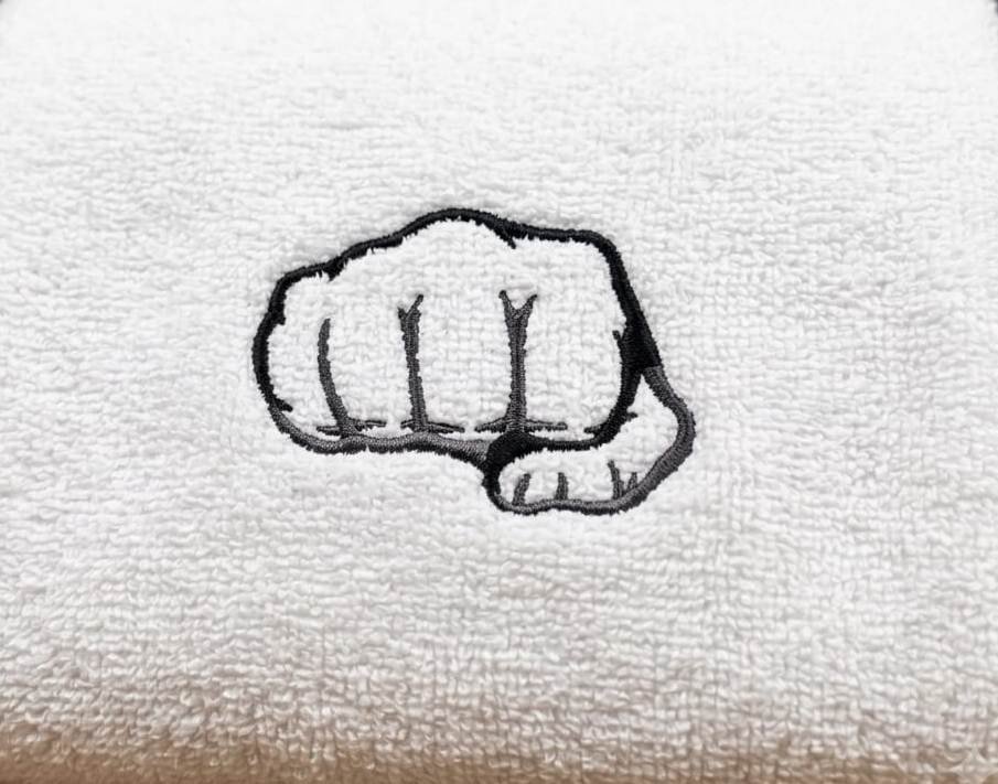 Fist_punch_col_img_1790160892.jpeg