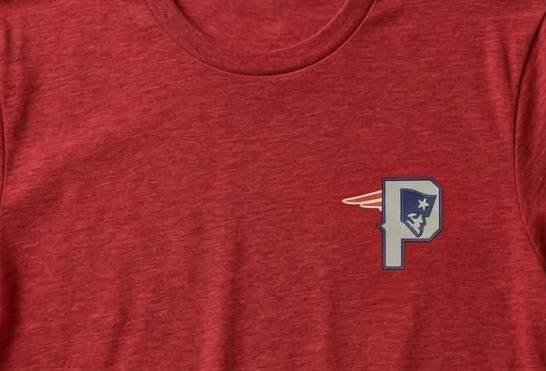 New_England_Patriots_col_1787920142.jpeg