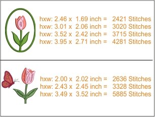 Tulip_Flower_Size21.jpg