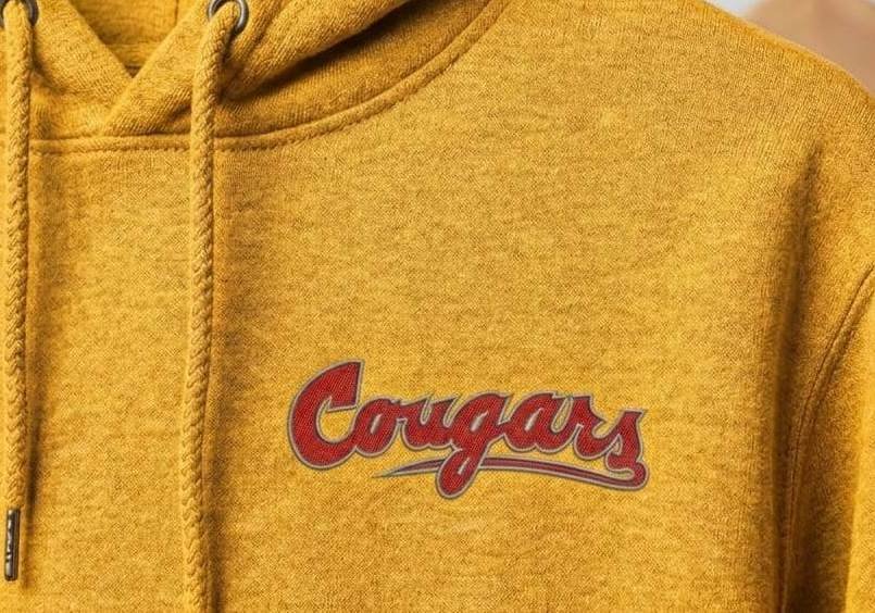 Washington_state_cougars_wordmark_col_img_1786342410.jpeg