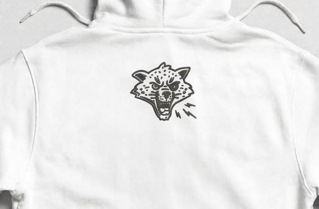 Wildcats_col_img_1787657403.jpeg