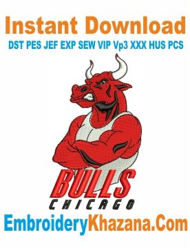 Chicago Bulls Embroidery Design