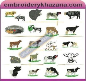 1487140056_COW.jpg