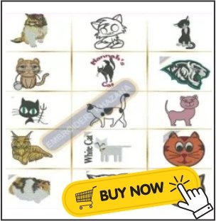 Cat-img.jpg