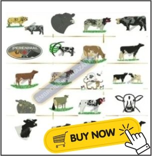 Cow-img.jpg