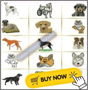 Dog-img.jpg