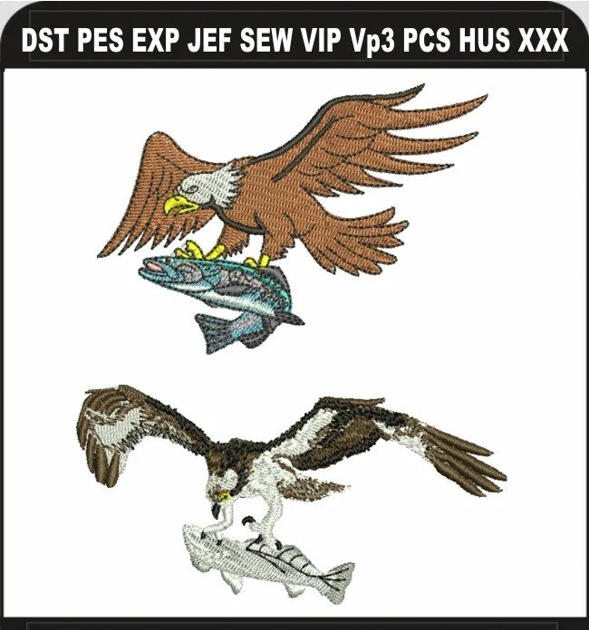 Eagle_pack_img_178.jpg