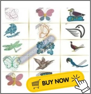 birds-img.jpg
