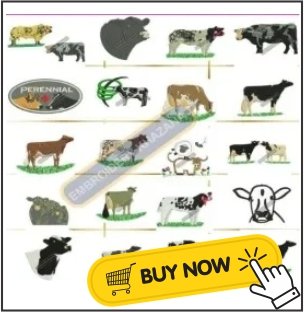 cow-image.jpg